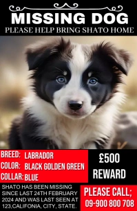 missing dog design template Tabloid
