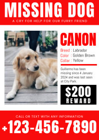 Missing Dog Design Template A4