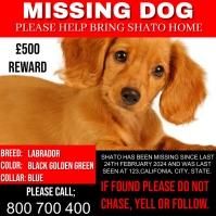 missing dog design template Instagram Post