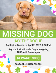 Missing Dog Flyer template