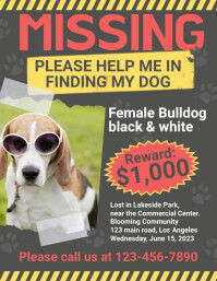 Missing Dog Flyer template
