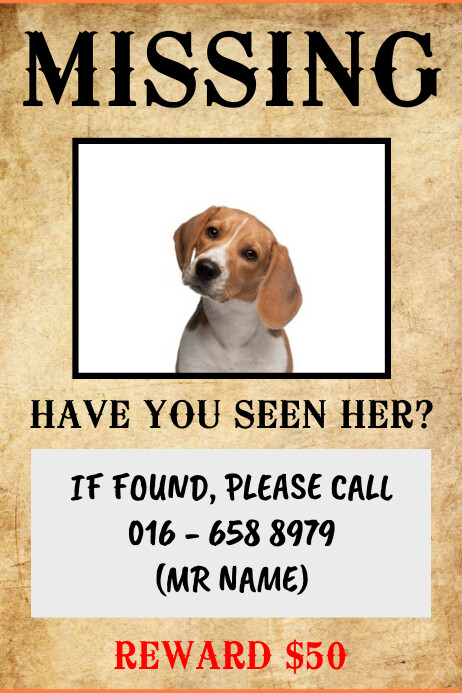 Missing Dog Or Pet Wanted Template | PosterMyWall