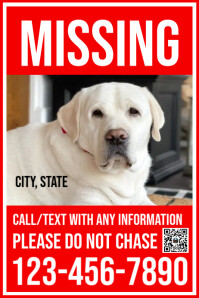 Missing Dog Poster template