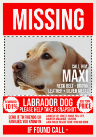 Missing Dog Poster Template A4