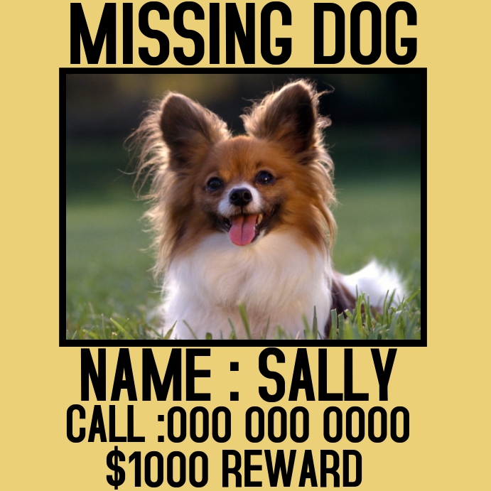 MISSING DOG SOCIAL MEDIA POST template