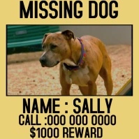 MISSING DOG SOCIAL MEDIA POST Instagram Plasing template