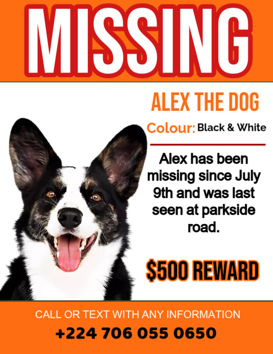 Plantilla de Missing dog wanted design template | PosterMyWall