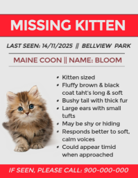 Missing Kitten Alert Flyer Template