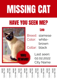Missing Lost Cat A4 template