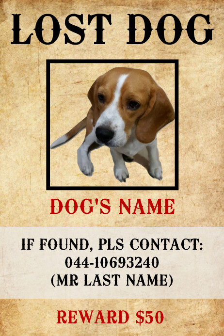 Lost Dog Template Free