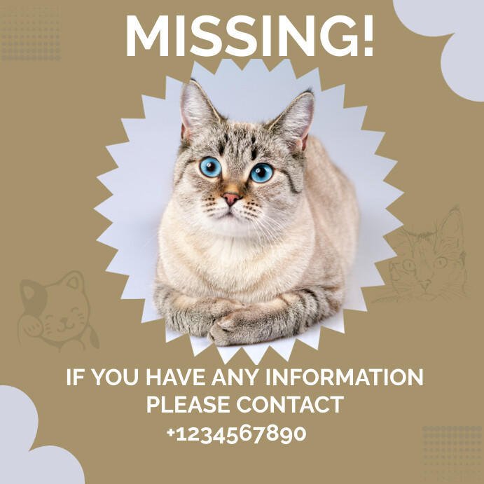 Missing Pet Template PosterMyWall