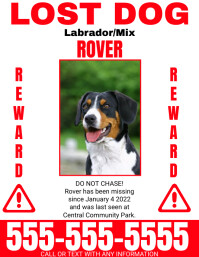Missing Pet Flyer, <a href=