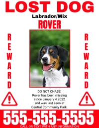 Missing Pet Flyer, missing dog template