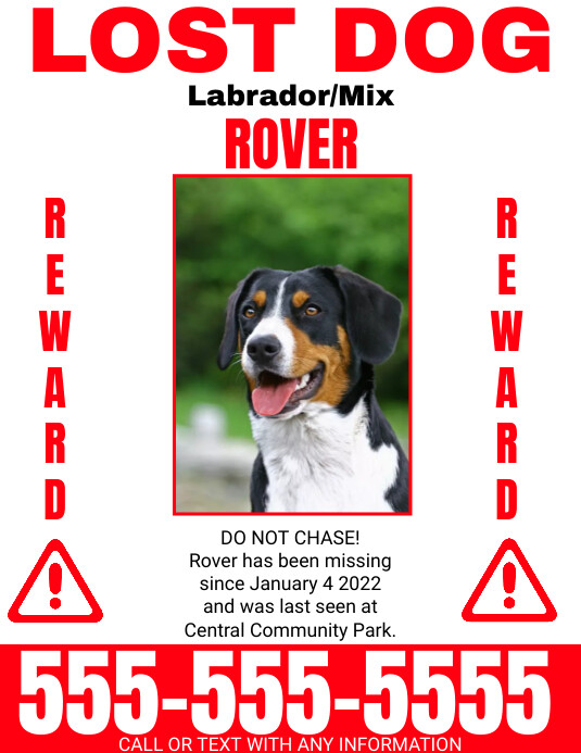 Missing Pet Flyer, missing dog Template PosterMyWall
