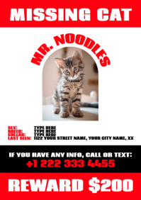 Red White Black Missing Pet Flyer A4 template