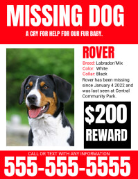 Missing Pet Flyer template