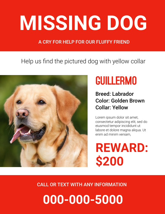 missing pet flyer Template PosterMyWall