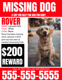 Missing Pet Flyer template