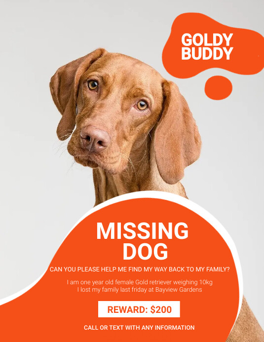 missing pet flyer Template PosterMyWall