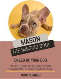 Missing Pet Template Flyer (US Letter)