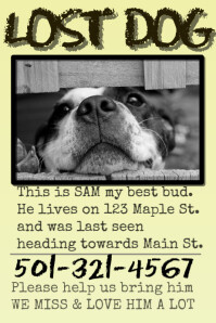 Free Lost Dog Cat Missing Pet Poster Ms Word Template