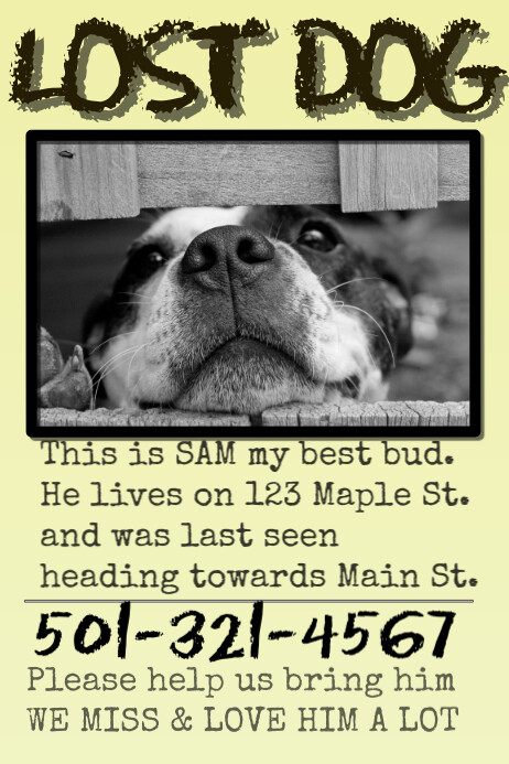 Missing Pet Lost Dog Cat Family Template Postermywall