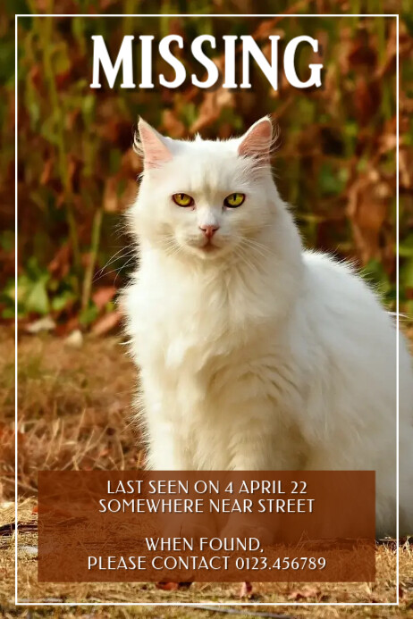 Missing Pet Poster Modelo PosterMyWall