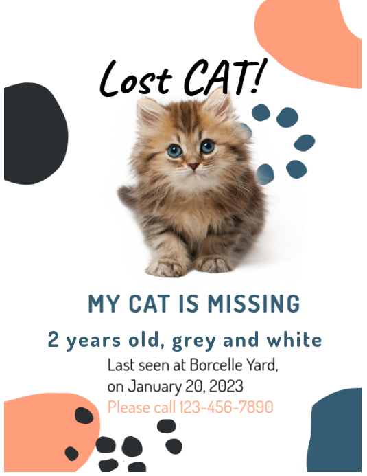 Missing Pet Template Flyer (US Letter)