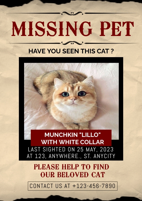 Missing Pet template PosterMyWall Missing Pet template PosterMyWall