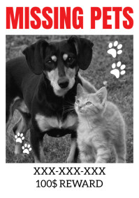 Missing Pets A4 template