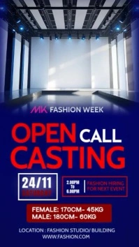 Model Casting Call Flyer Templates Instagram Story
