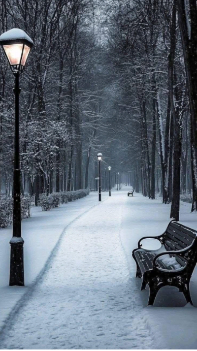 Modern & Minimal “silent Winter Park Path Background” Digital Display (9:16) template