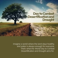 Modern & Minimal Day To Combat Desertification And Drought Instagram Post template