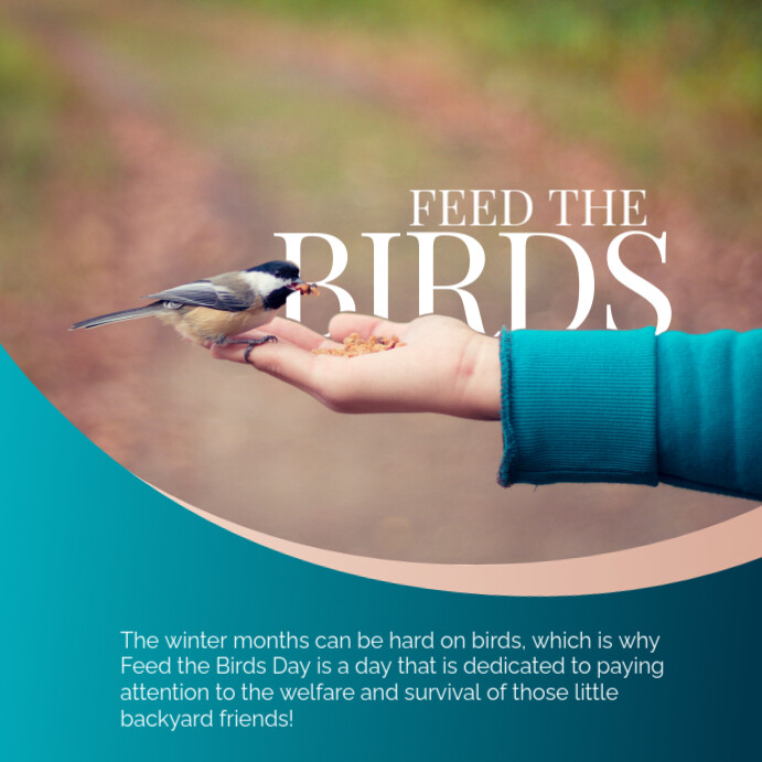 Copy of Modern & Minimal Feed The Birds Day Instagram Post | PosterMyWall