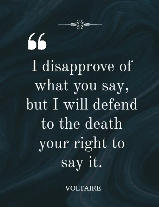 Modern & Minimal Freedom Of Speech Quote By Voltaire On Abstract Marble Texture Flyer (us Letter) Iflaya (Incwadi ye-US) template