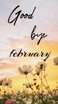 Modern & Minimal Good Bye February  Instagram Story template
