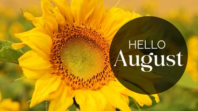 Modern & Minimal Hello August Template Digital Display (16:9)