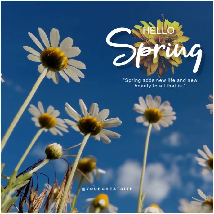 Modern & Minimal Hello Spring Square (1:1) Template | PosterMyWall