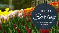 Modern & Minimal Hello Spring Video First Day Of Spring Digital Display (16:9) template