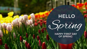 Modern & Minimal Hello Spring Video First Day Of Spring Digital Display (16:9) template