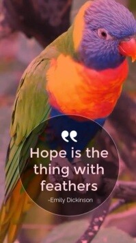 Bruin Hope Quote Instagram Reel Template