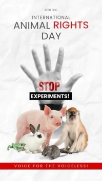 Modern & Minimal International Animal Rights Day Instagram Reel template