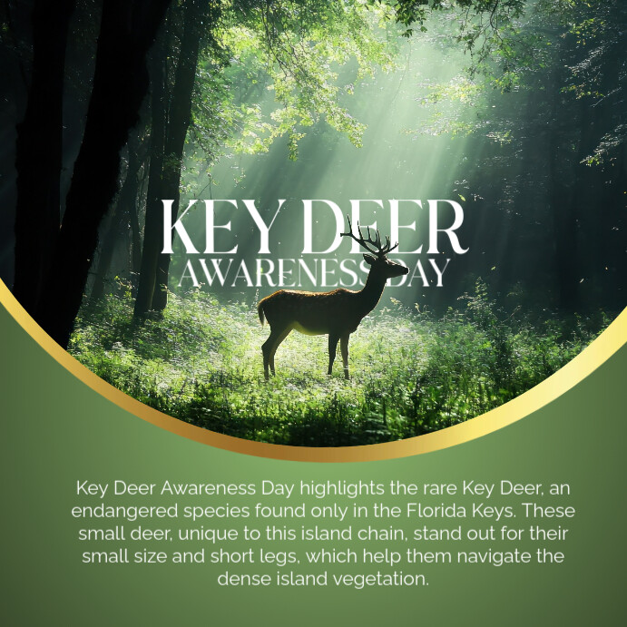 Modern & Minimal Key Deer Day Instagram Post template