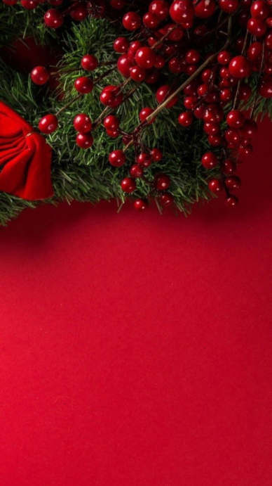 Modern & Minimal Minimal Christmas Background | Red Festive Frame With Pine And Berries Digital Disp template