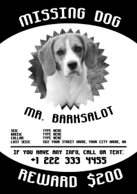 Blanc Missing Dog Alert A4 Template