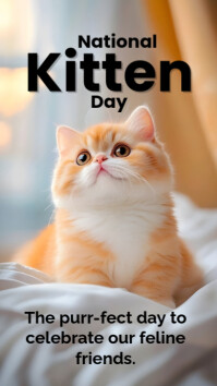 Modern & Minimal National Kitten Day Instagram Story template