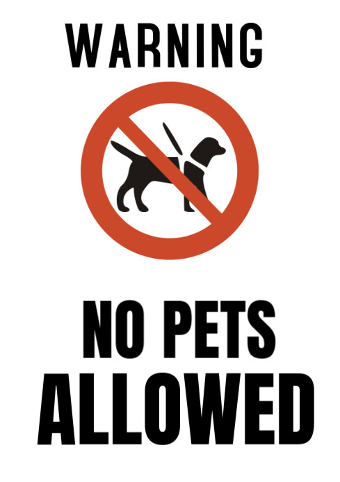 Modern & Minimal No Pets Allowed  A4 template