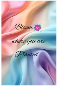 Modern & Minimal Pastel Satin  Poster Plakat template