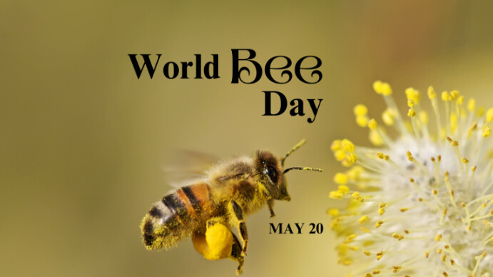 Modern & Minimal World Bee Day  Digital Display (16:9) template