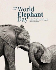 Modern & Minimal World Elephant Day Instagram Portrait template